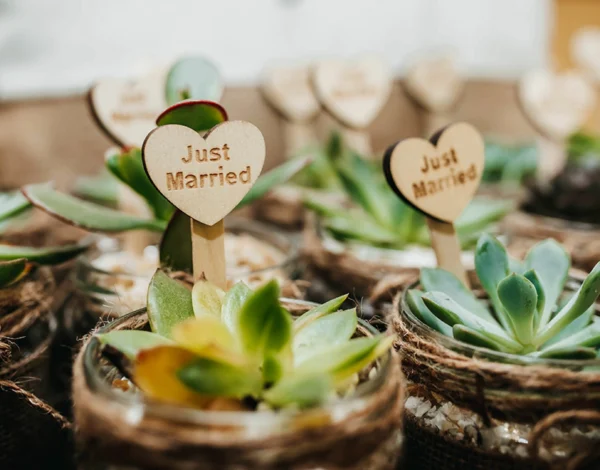 Wedding Favors Listing Category Hamperrs N More